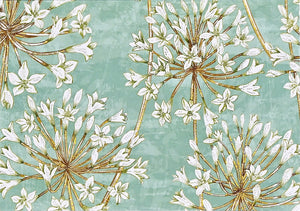 Allium Blossoms Blank Notecards