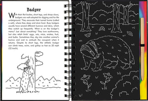 Open book showing text and illustrations of badgers on one page and a multicoloured illustration of on the other.