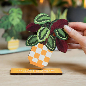 Dapple & Dot Wooden Pop Out Card | Calathea Medallion