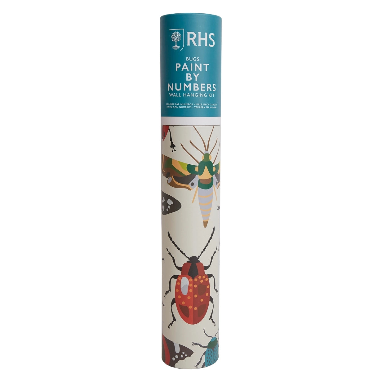 Bug Study Paint By Numbers & Wall Hanging Kit