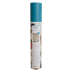 Bug Study Paint By Numbers & Wall Hanging Kit