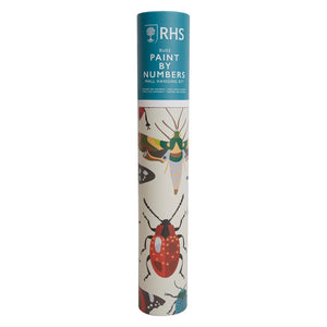 Bug Study Paint By Numbers & Wall Hanging Kit