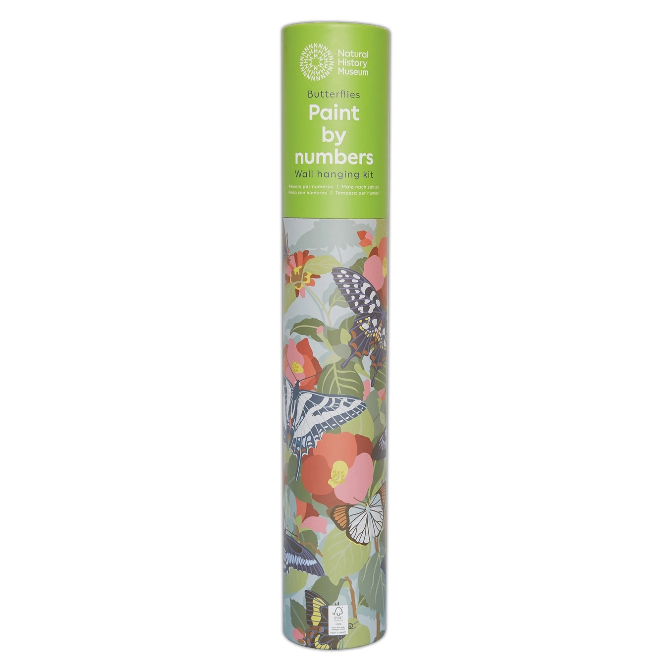 Butterflies Paint By Numbers & Wall Hanging Kit