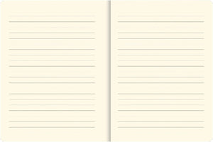 Two sheets of lined notebook paper on a white background