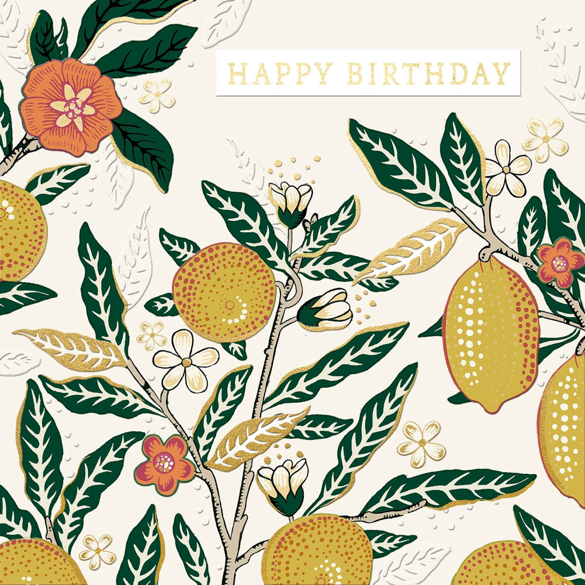 Fruit Birthday Card