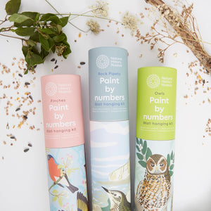 Finches Paint By Numbers & Wall Hanging Kit