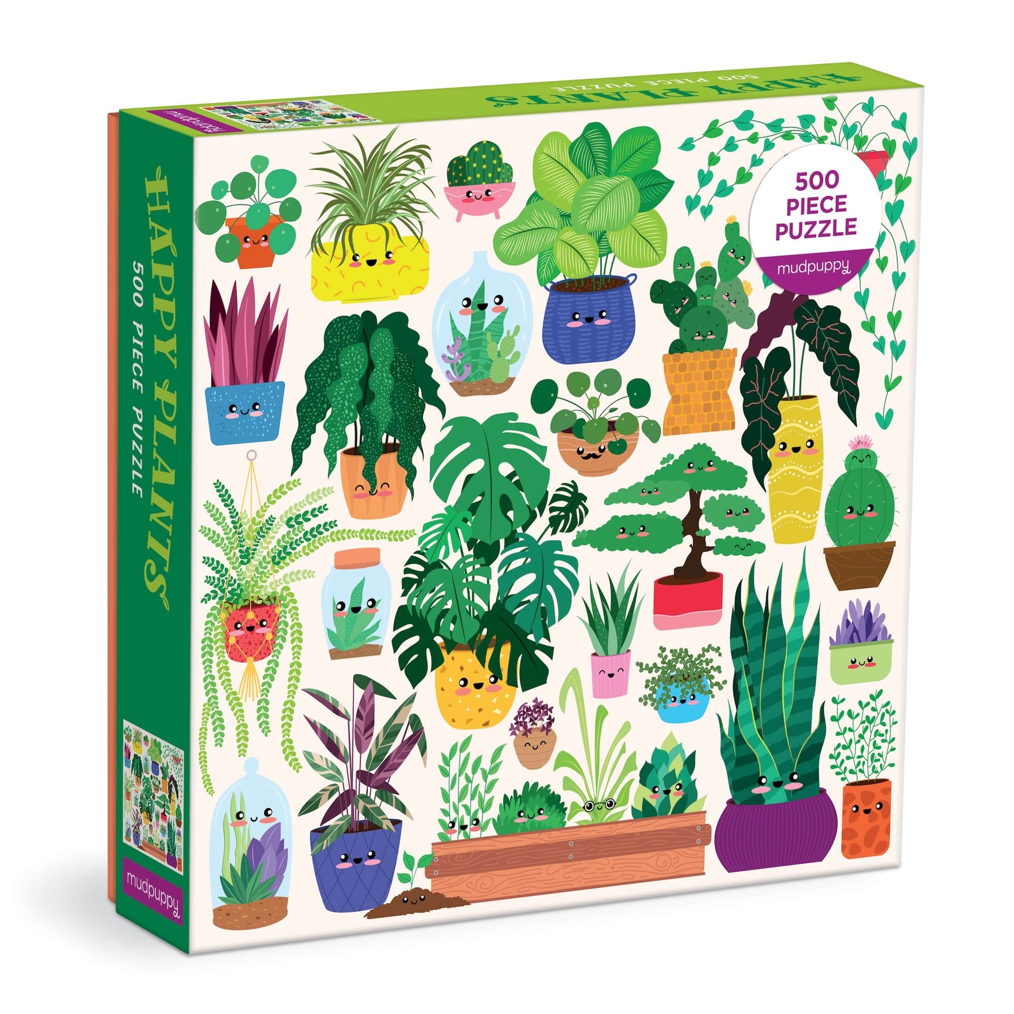 Puzzle box with colorful illustrations of smiling plants in different coloured pots on a cream background. 