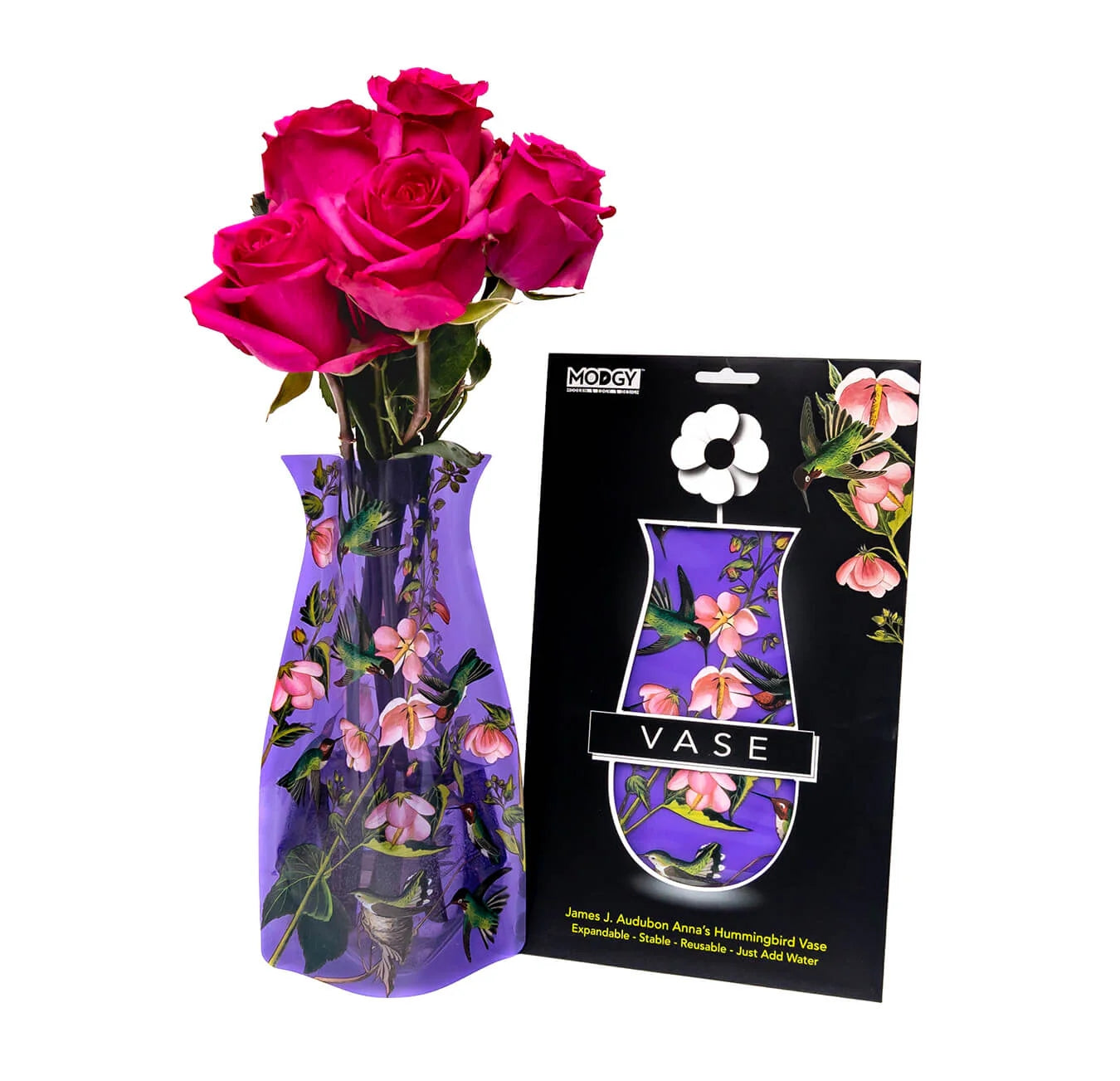 Purple, pink and green expandable vase with a design based on James J. Audubon's 'Anna's Hummingbird' and filled with a bouquet of pink flowers. The vase is placed beside it's packaging with Modgy branding.