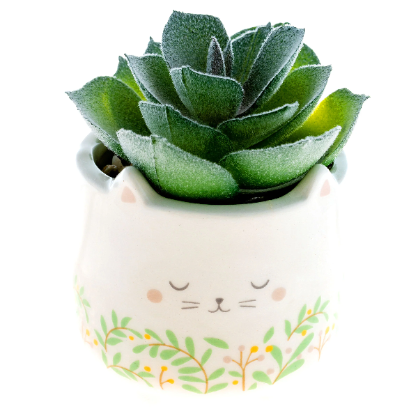 Karma Succulent Pot | Cat