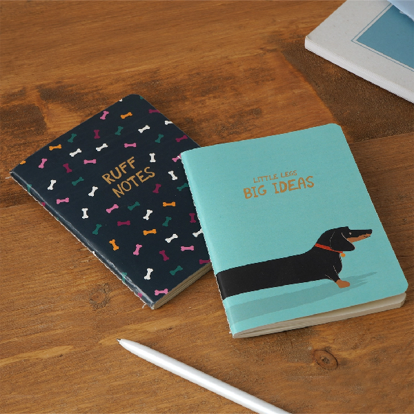 Little Legs, Big Ideas Notebook Set