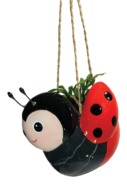 Ladybug Mini Hanging Planter