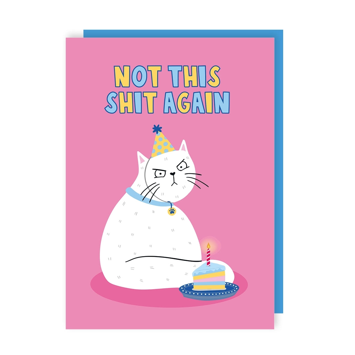 Greeting card featuring an illustration of a grumpy white cat wearing a party hat and sitting beside a slice of cake with a candle. The colourful text 'Not this shit again' sits on a pink background along with the illustration.
