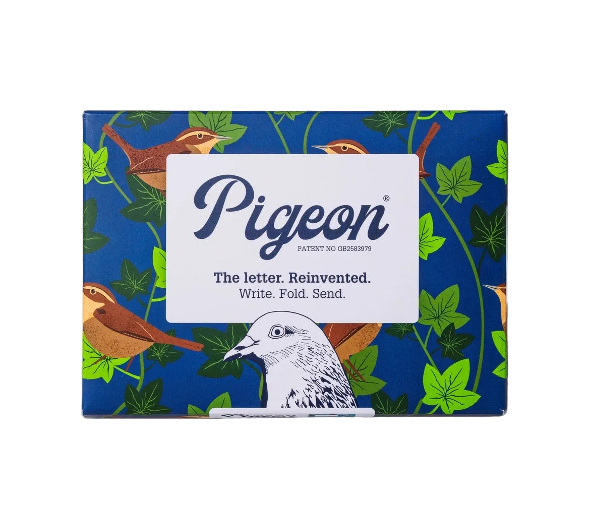 Robin And Wren Letter Set