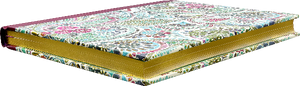 Watercolour Paisley Midsize Journal