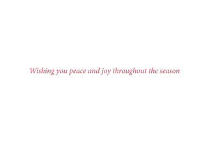 Wreath Of Joy Boxed Holiday Cards | Set of 20