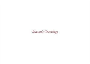 Festive Evergreen Boxed Holiday Cards | Set of 20