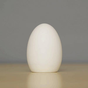 Egg LED Light